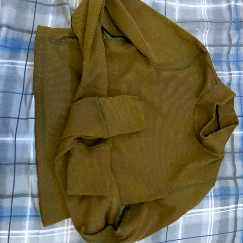 American eagle turtle neck green long sleeve crop top